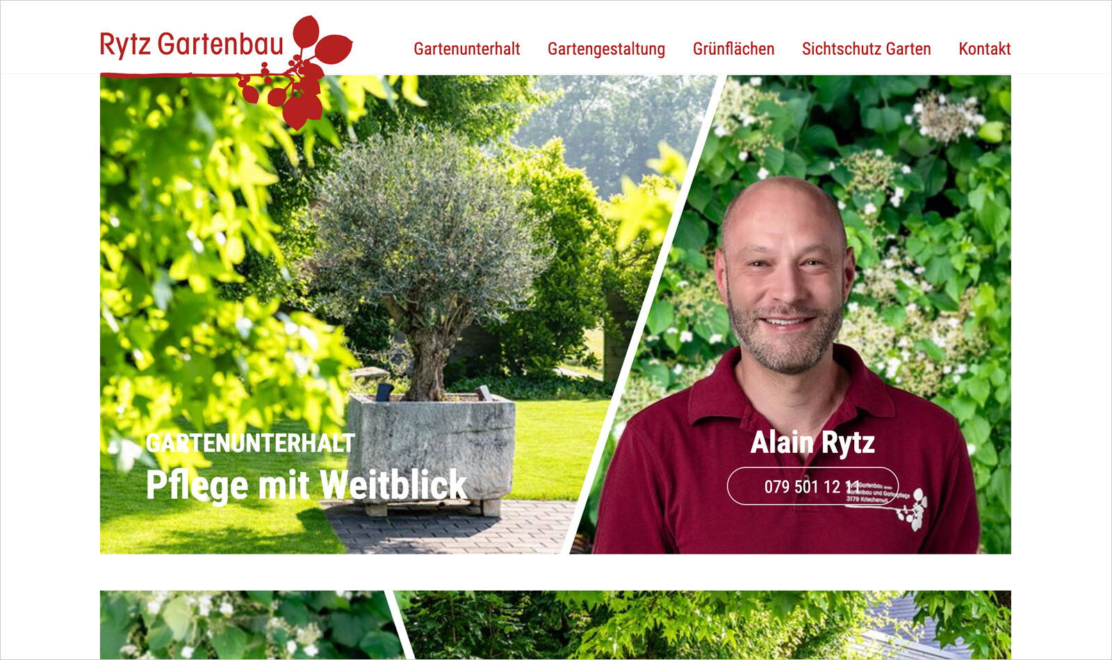rytz_web1.jpg Webseite Energy for future, Informationen