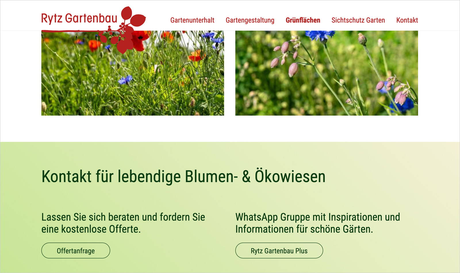 rytz_web2.jpg Webseite Energy for future, Informationen